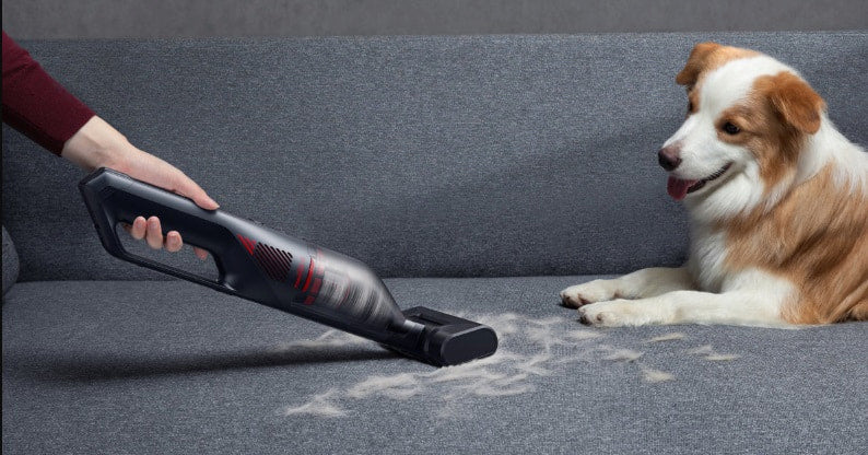 Bester kabelloser Staubsauger für Tierhaare 2025 für Ihr Zuhause