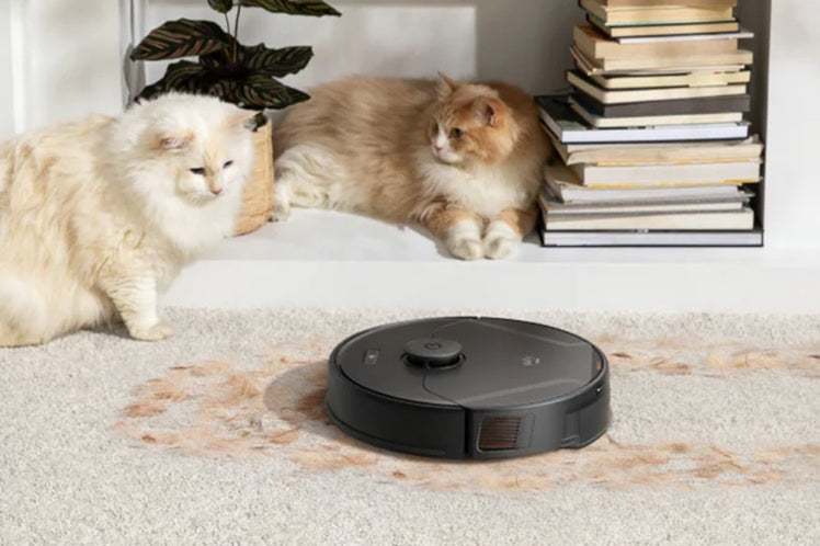 Der ideale Staubsauger für Katzenstreu: Ein umfassender Leitfaden